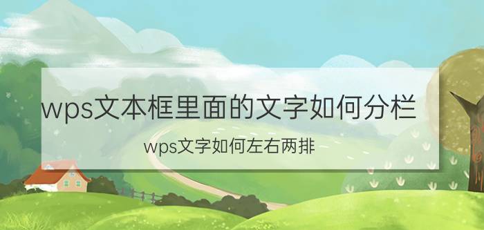 wps文本框里面的文字如何分栏 wps文字如何左右两排？